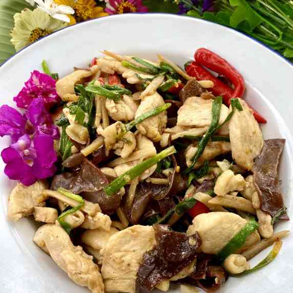 Thai ginger chicken stir-fry in a white dish.