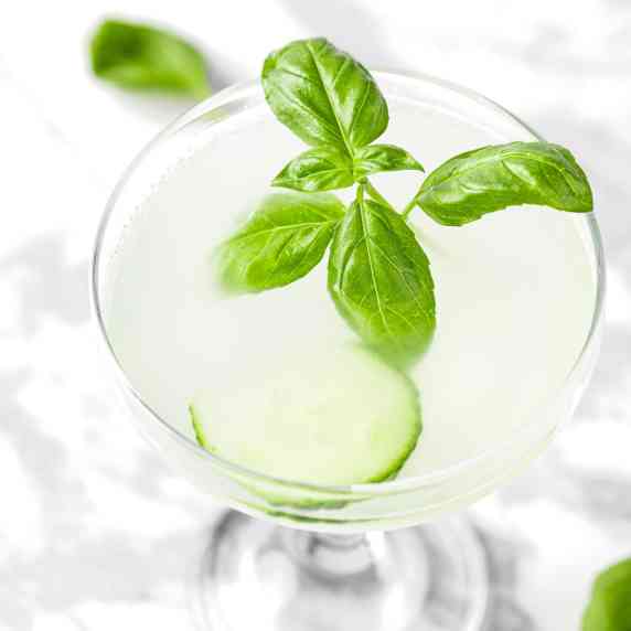 A cucumber basil gimlet cocktail garnished with fresh basil leaves.