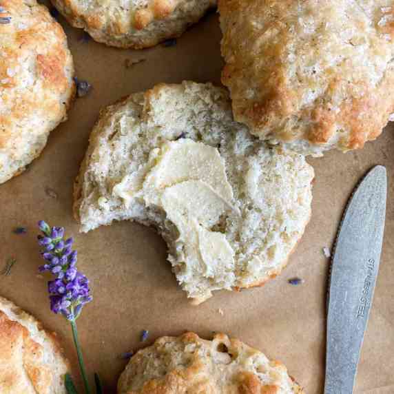 Top view of Lavender Biscuit with butter with a bite missing.