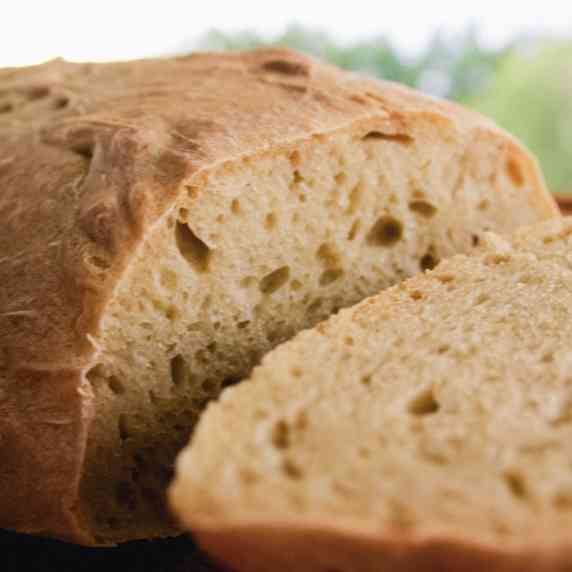 no knead ciabatta bread