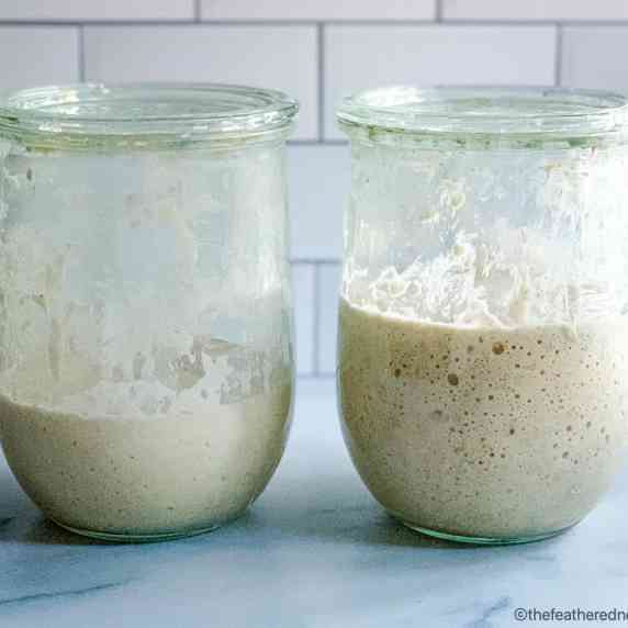 2 jars of sourdough starter