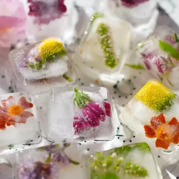 Fennel Herb and Flower Ice Cubes