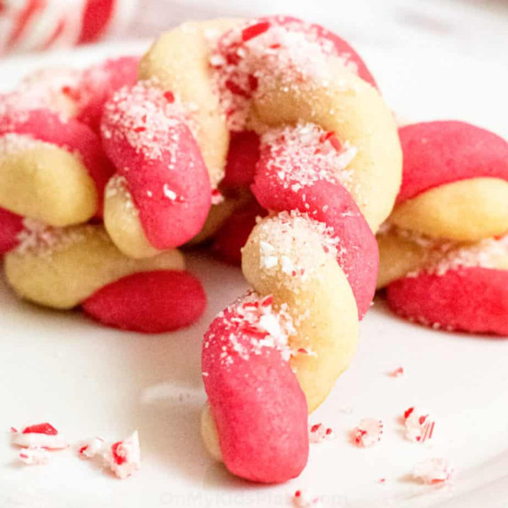 Close up of red and white candy cane style cookie covered in peppermint pieces.