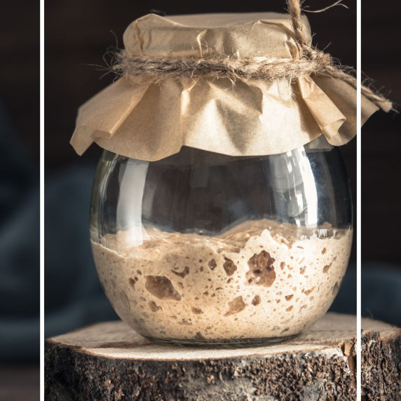 sourdough started in jar