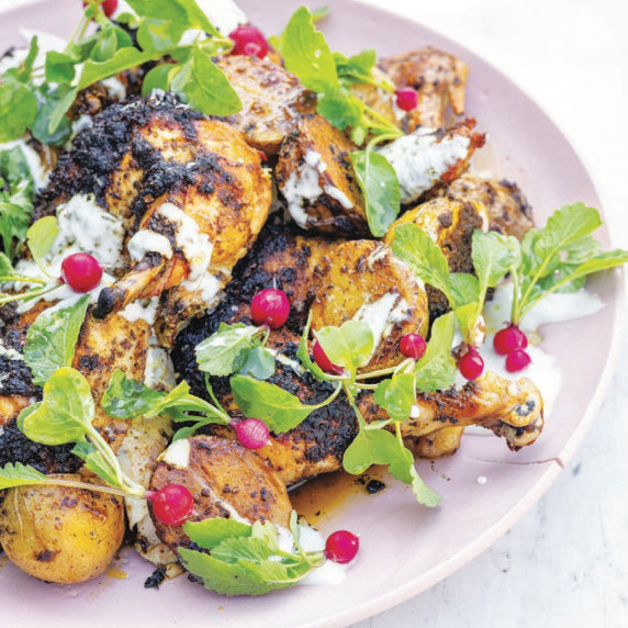 Chermoula chicken with yogurt, herbs, radishes, and pink berries on a pink plate.