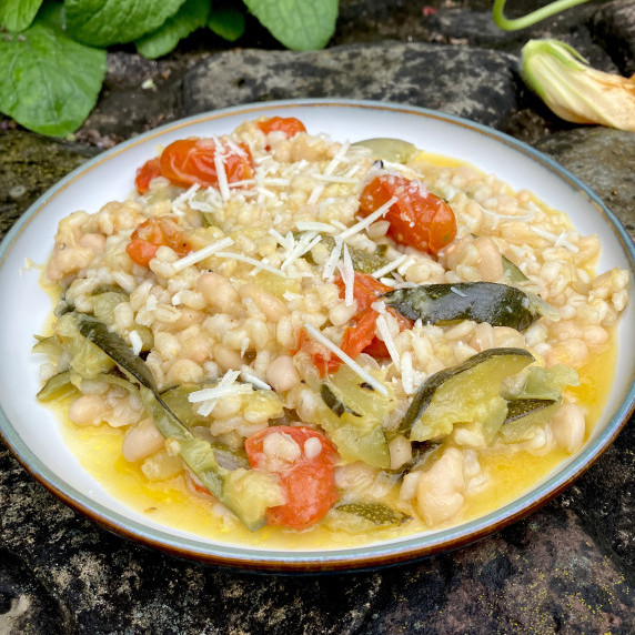 plate of zucchini and tomatoes and beans on rocks.