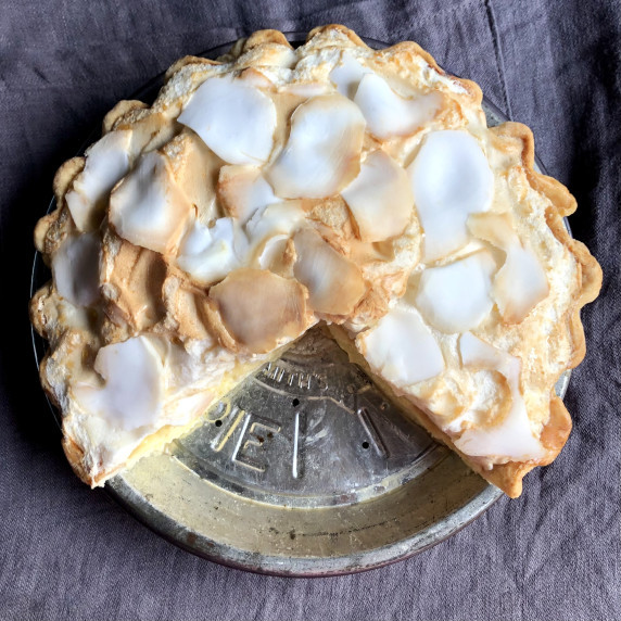 A sliced coconut meringue pie with shaved large pieces of fresh coconut toasted along w/the meringue