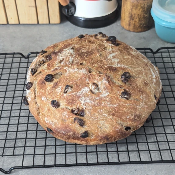 A loaf of no knead cinnamon raisin bread on a wire rack. 