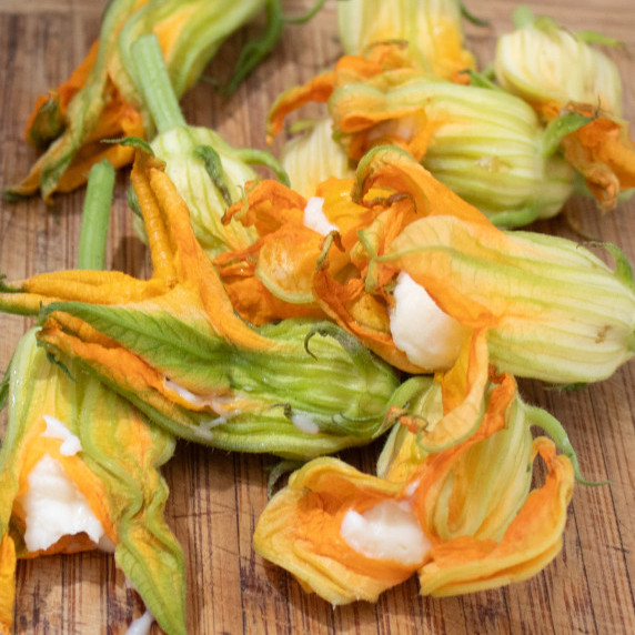 squash blossoms stuffed with cheese. 