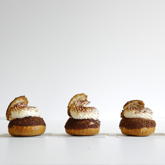 Tiramisu-flavoured cream puffs on a white background.