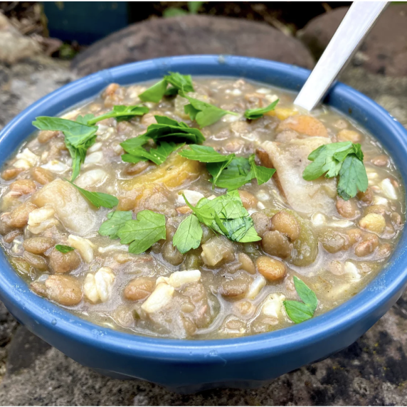 lentil soup in a blue bowl on rocks outside.