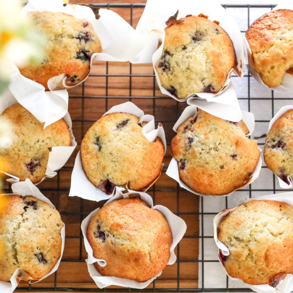 sourdough lemon blackberry muffins made from sourdough starter