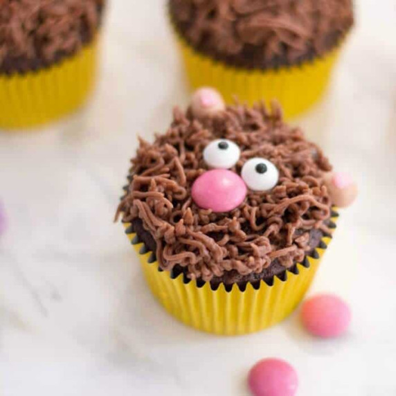 A cupcake made to look like a teddy bear face.