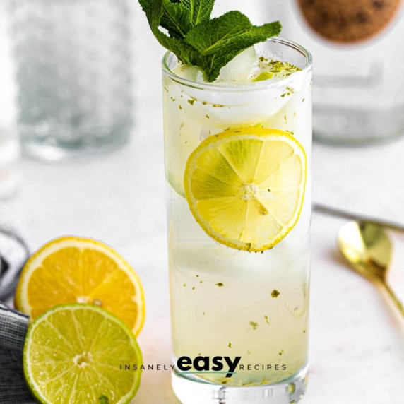 Cocktail made up of mint syrup and vodka in a tall glass with ice, lemon wheel, and mint leaves 