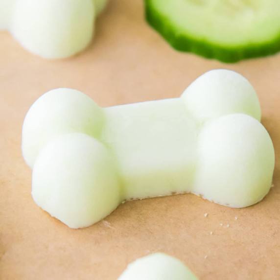 Close-up of a bone-shaped yogurt cucumber treat for dogs.  
