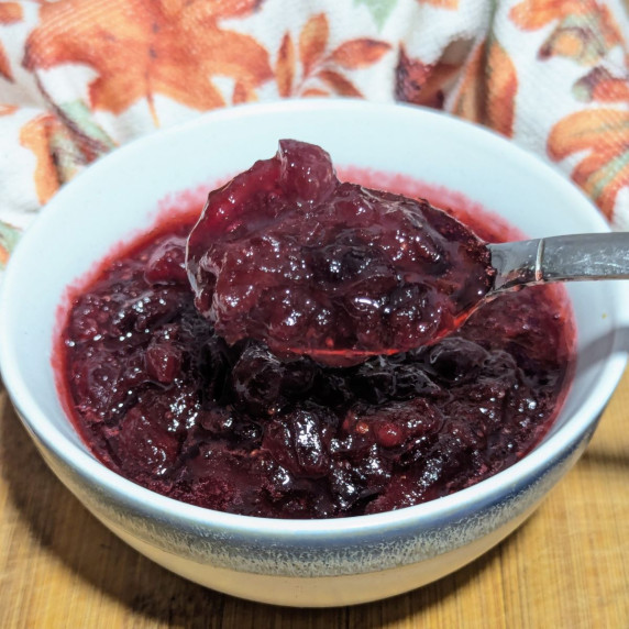 A bowl of cranberry sauce with a spoon of sauce over the top. 