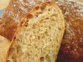 No-Knead Ciabatta - Bread You Can Believe In