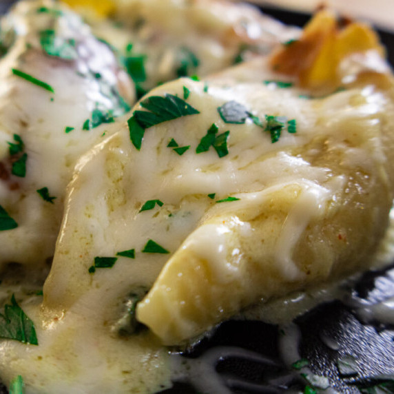 stuffed chicken alfredo shells