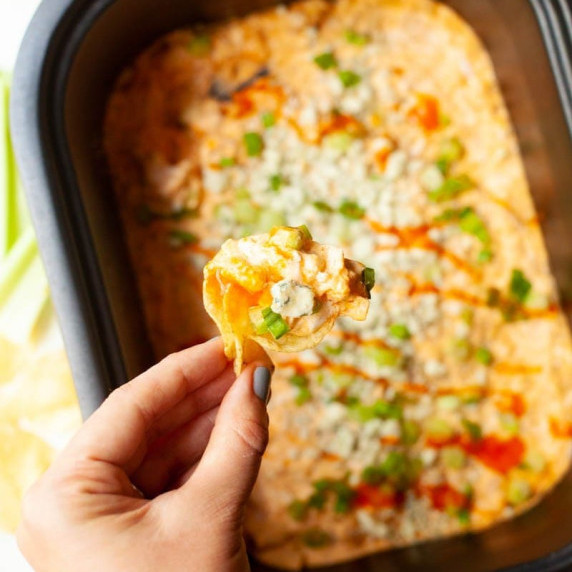 A hand holding up a chip scooped with slow cooker buffalo chicken dip.